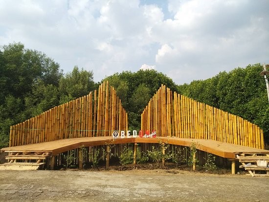 Wisata Desa Bedono